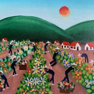 Colheita de flores