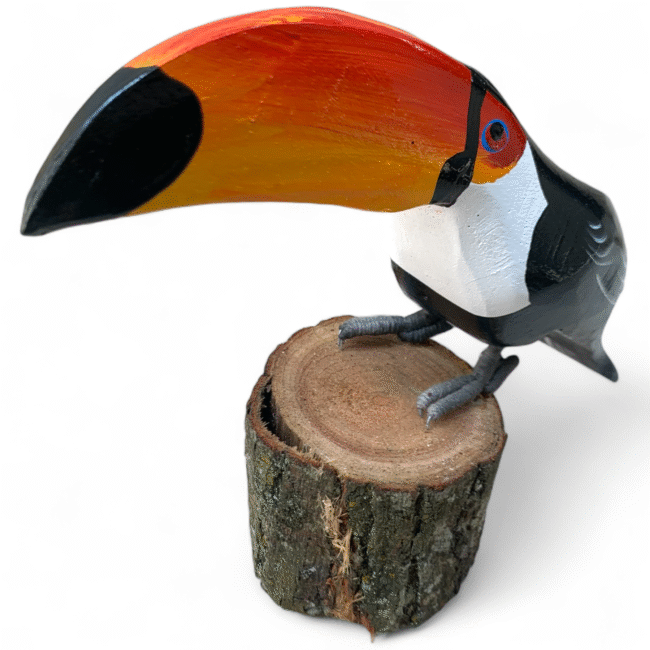 Tucano em Madeira - Escultura no Tronco - Imagem 3