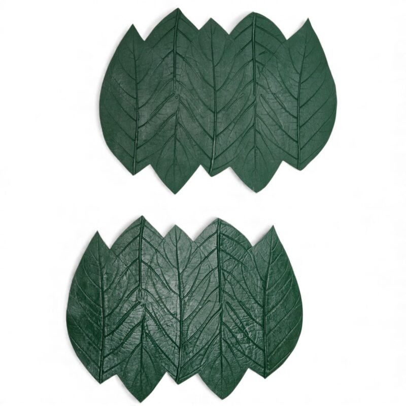 Par de Folhas Noni Látex