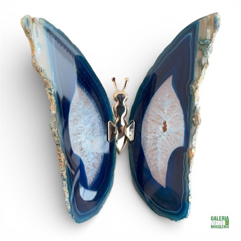 borboleta ágata azul